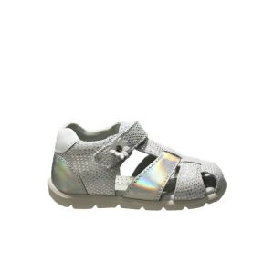 CICIBAN 326165 starlight