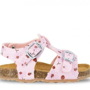 CICIBAN 345223 ROSA